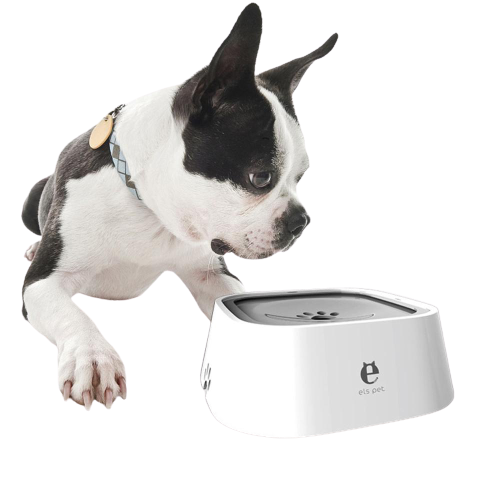 Anti-Spill Pet Water Bowl